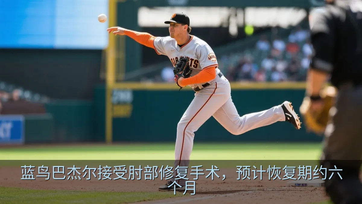 蓝鸟巴杰尔接受肘部修复手术，预计恢复期约六个月