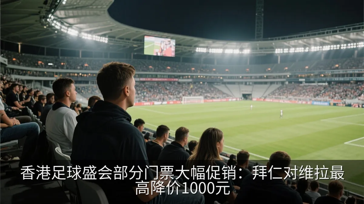 足球迷在现代体育场看台观赛